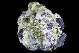 Lazurite and Pyrite in Marble Matrix - Afghanistan #111780-1